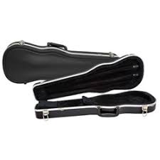 violin case