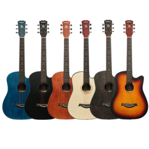 guitar acoustic guitar